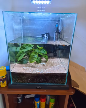 Acquario 30L design
