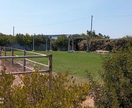 Terreno con box cavalli