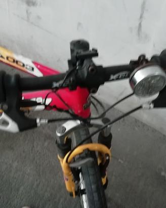 bici mountain bike 