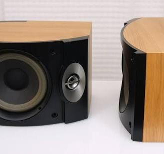 bose 301 serie 5 