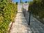 Immagine 19