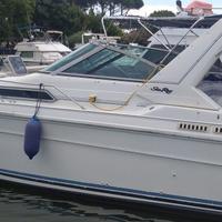 Sea ray sundancer 310