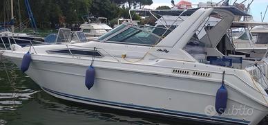 Sea ray sundancer 310