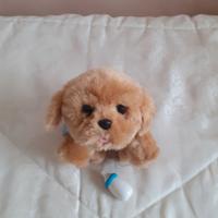 Cagnolino interattivo