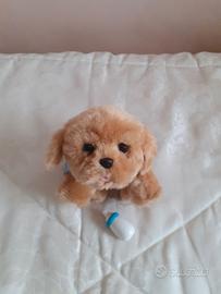 Cagnolino interattivo