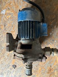 Pompa acqua  hp1 idrorame elettropompa autoclave