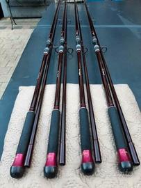 3 Canne da Carpfishing  LEON HOOGENDIJK SPECIMEN 