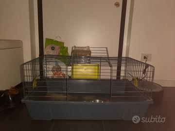 Gabbia e trasportino