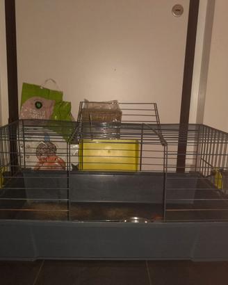 Gabbia e trasportino