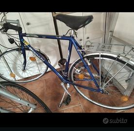 Bicicletta Bianchi uomo 