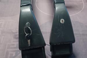 Barre portatutto in acciaio Renault scénic 3' xmod