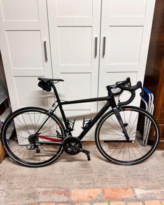 Bici corsa argon