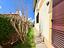Immagine 8