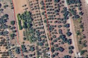 Terreno con fabbricato