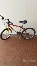 MOUNTAIN BIKE