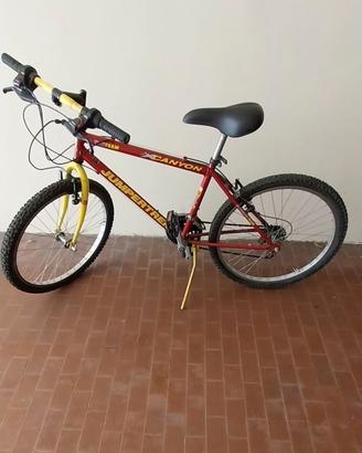 MOUNTAIN BIKE