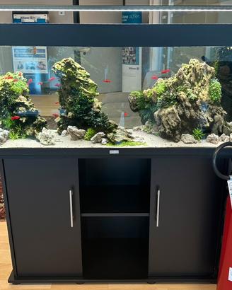 Acquario con mobile