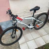 Bicicletta ragazzo