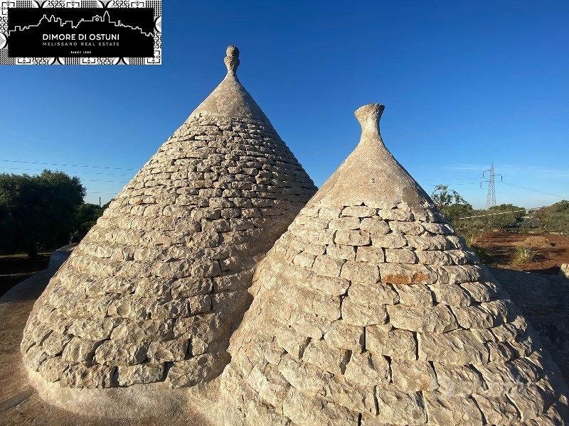 GRUPPO di TRULLI con TERRENO - AGRO di OSTUNI - Vista 6