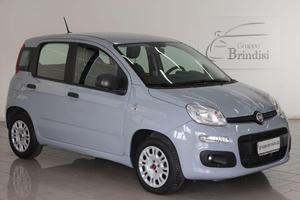FIAT - Panda - 1.2 Easy