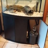 Acquario Askoll - Modello Tenerife Sinuo 150