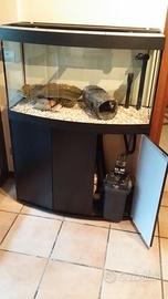 Acquario Askoll - Modello Tenerife Sinuo 150