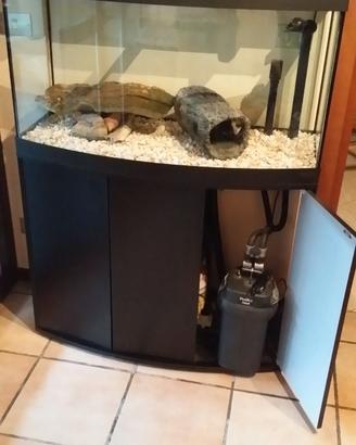 Acquario Askoll - Modello Tenerife Sinuo 150