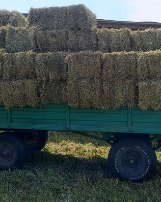 Ballette fieno + trasporto
