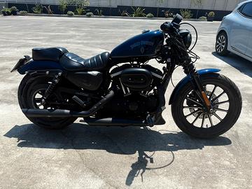 Harley Davidson 883 Iron