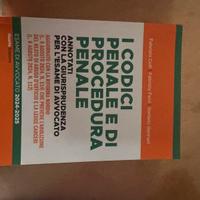 I codici penale e di procedura