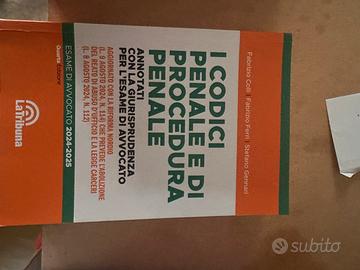 I codici penale e di procedura