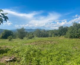 Terreno agricolo fronte strada