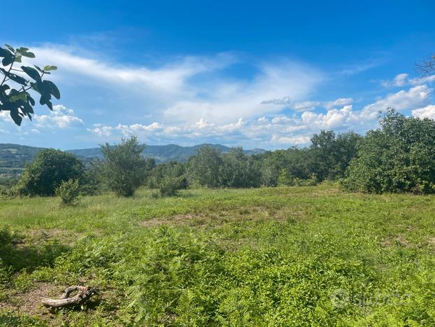 Terreno agricolo fronte strada