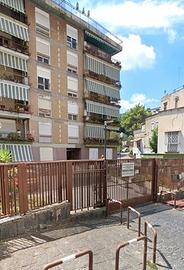 Parco sir- box+ cantina