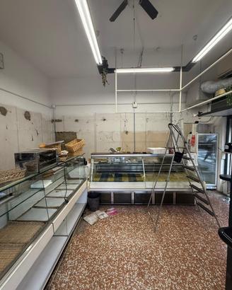 Bancone da salumeria/Gastronomia