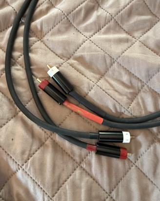 Cavi RCA SG3