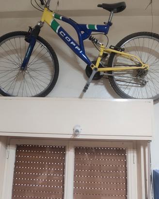 mountain bike