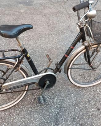 Bici da 24