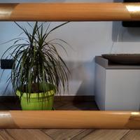 cornice legno foglia oro