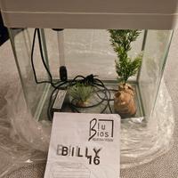 Acquario Billy vetro curvato con piantine 