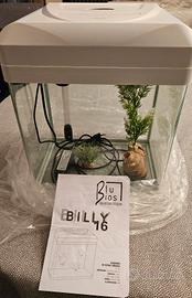 Acquario Billy vetro curvato con piantine 