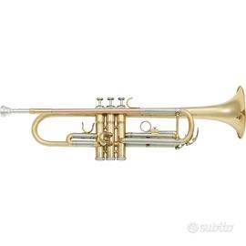 SML Paris - VSM TP300 Tromba Sib + supporto