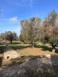 Terreno con due appartamenti