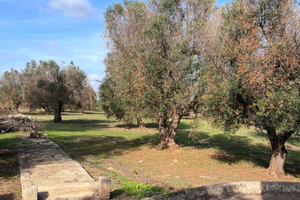 Terreno con due appartamenti