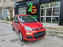 fiat-panda-1-2-easy