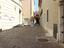 Immagine 12