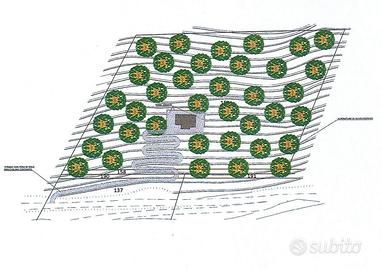 SAN LEONARDO - Terreno edificabile