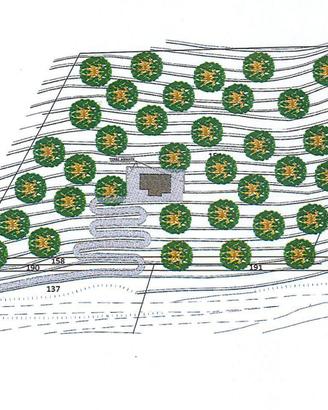 SAN LEONARDO - Terreno edificabile