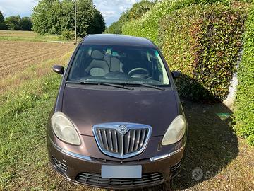 Lancia musa