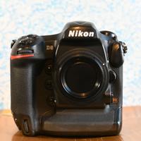 Nikon D5 con 40.000 scatti